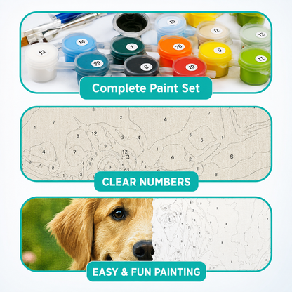Custom Paint by Numbers Kit